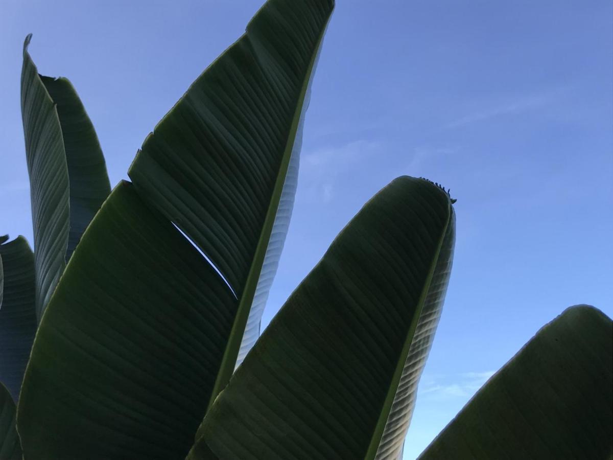 Encanto Das Flores Praia de Pipa Dış mekan fotoğraf